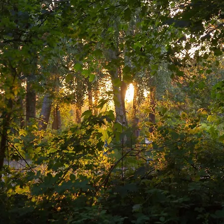 Wohnen Am Südstrand - 2 4 * Wyk auf Föhr