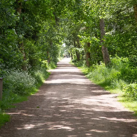 Apartment Wohnen Am Südstrand - 2 4